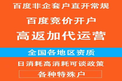 金融行业SEM服务的创新应用与效果